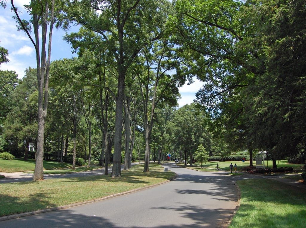 Tree-lined street in the Myers Park neighborhood of Charlotte, North Carolina